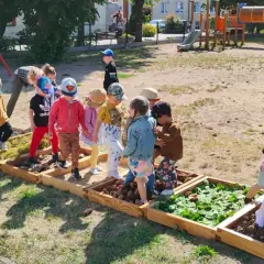 Leśna ścieżka sensoryczna: jak wspiera rozwój dzieci w naturze