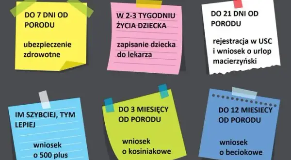 Co się należy po urodzeniu dziecka? Sprawdź ważne świadczenia i formalności